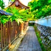 日本風景８２３　京都　神社