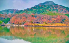 風景３５４　湖畔　晩秋
