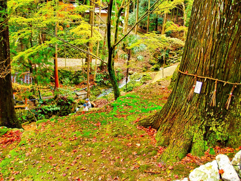 風景１９６　山寺　秋