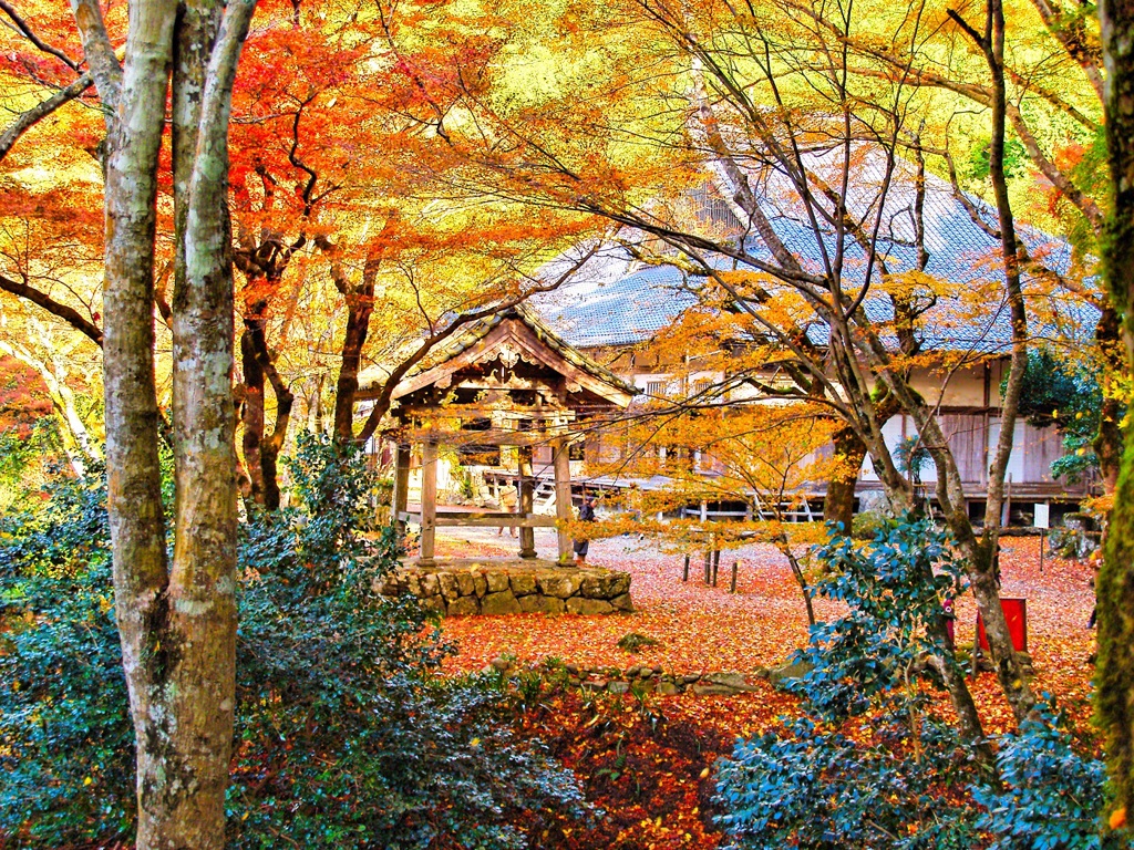 風景２００　山寺　 秋