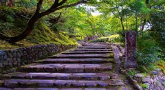 風景１５１　京都　あだしの