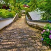 日本風景７５４　寺　庭　あじさい