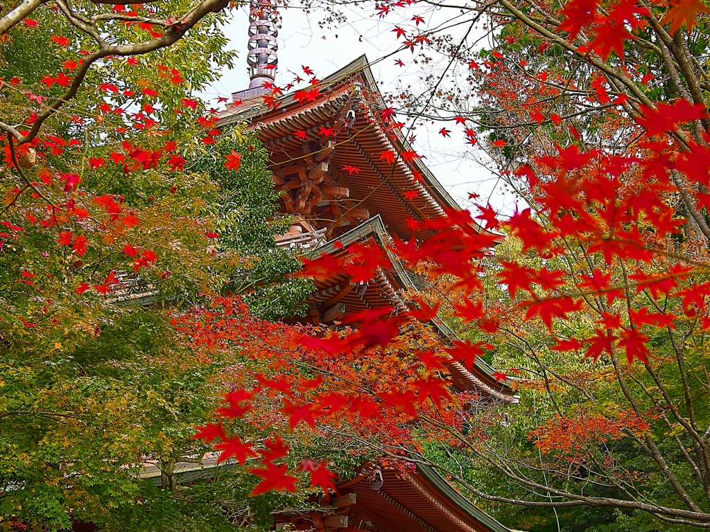 日本風景１２４６秋