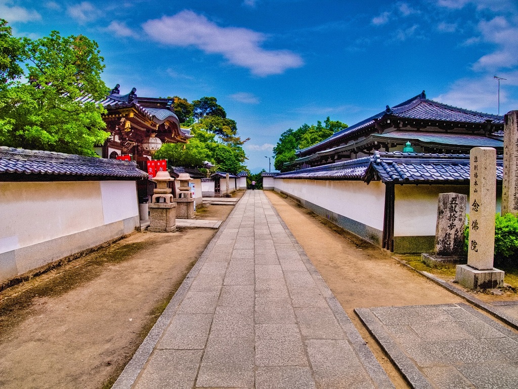 日本風景７７８　寺　　参道