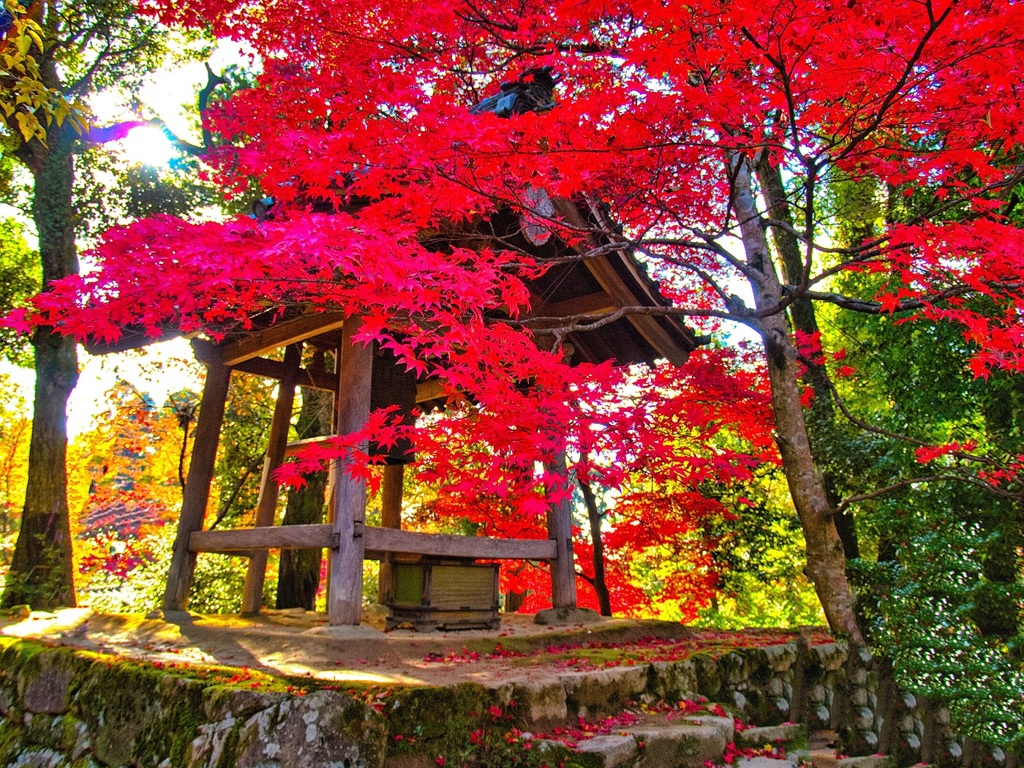風景２８７ 寺　秋