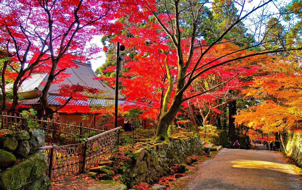 風景３１６ 寺　秋