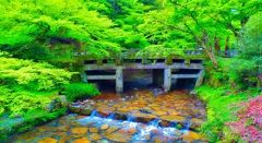 風景１７８　緑葉橋