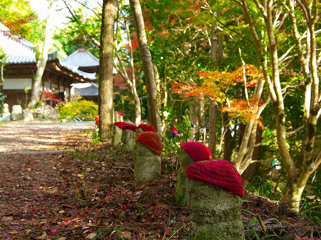 日本風景１２５１　秋