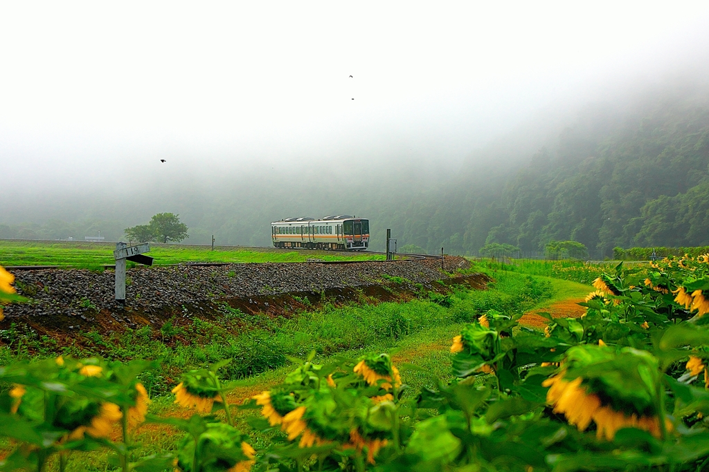 日本風景１４４１　鉄道