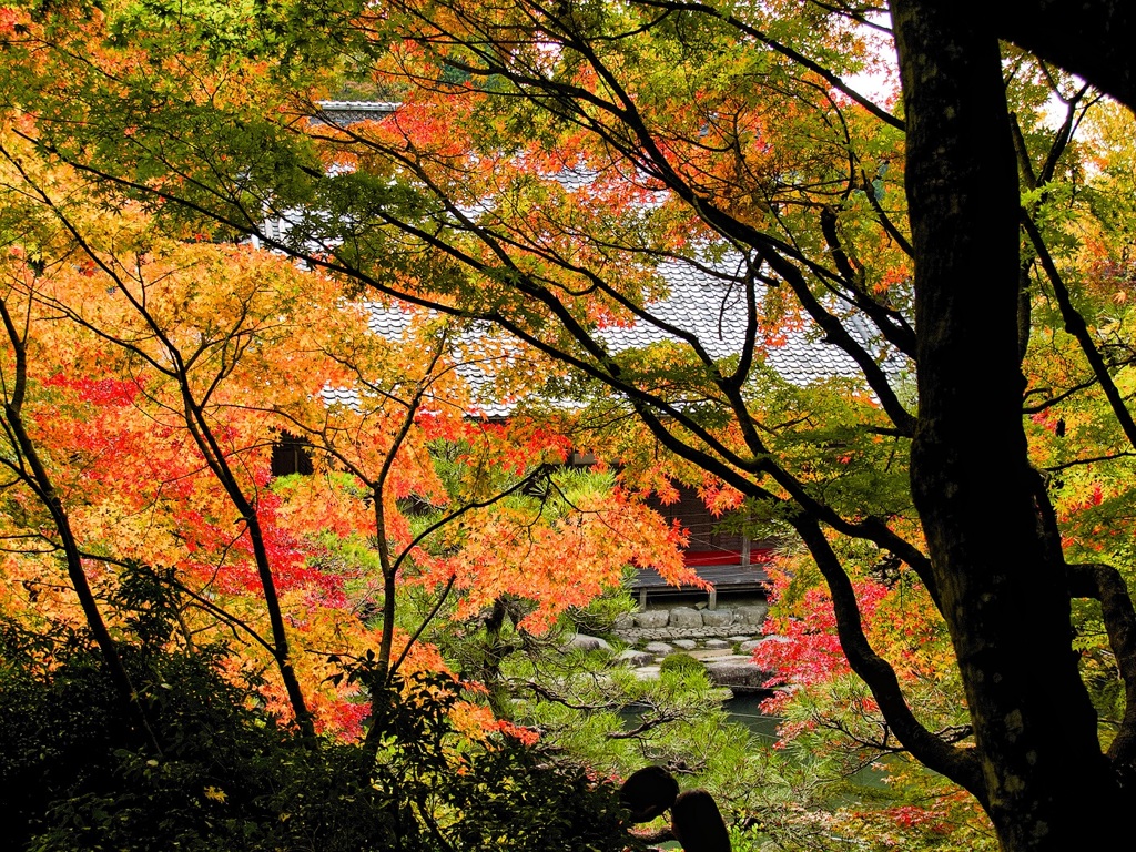 風景２６９ 山寺　秋