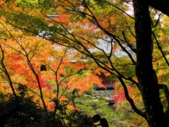 風景２６９ 山寺　秋