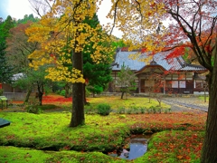 日本風景１５０２秋