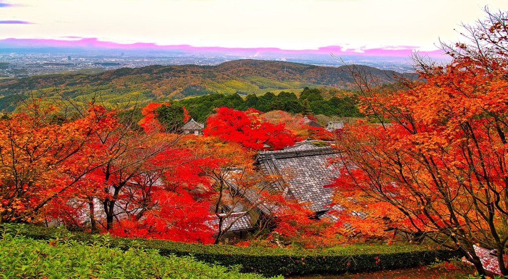 風景２５７ 寺　秋