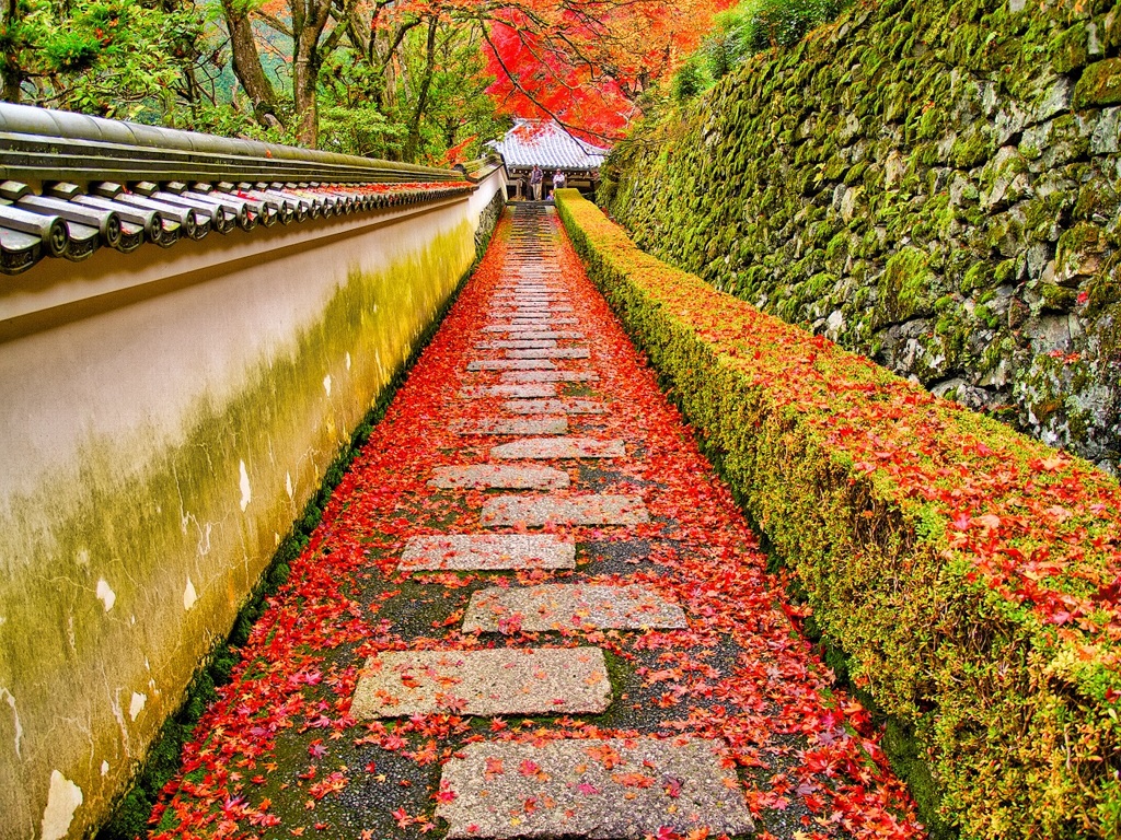 風景２８３ 寺　秋