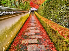 風景２８３ 寺　秋