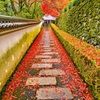 風景２８３ 寺　秋