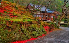風景３４２ 寺　晩秋