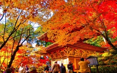 風景２８２ 寺　秋