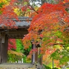 日本風景１２４０ 紅葉