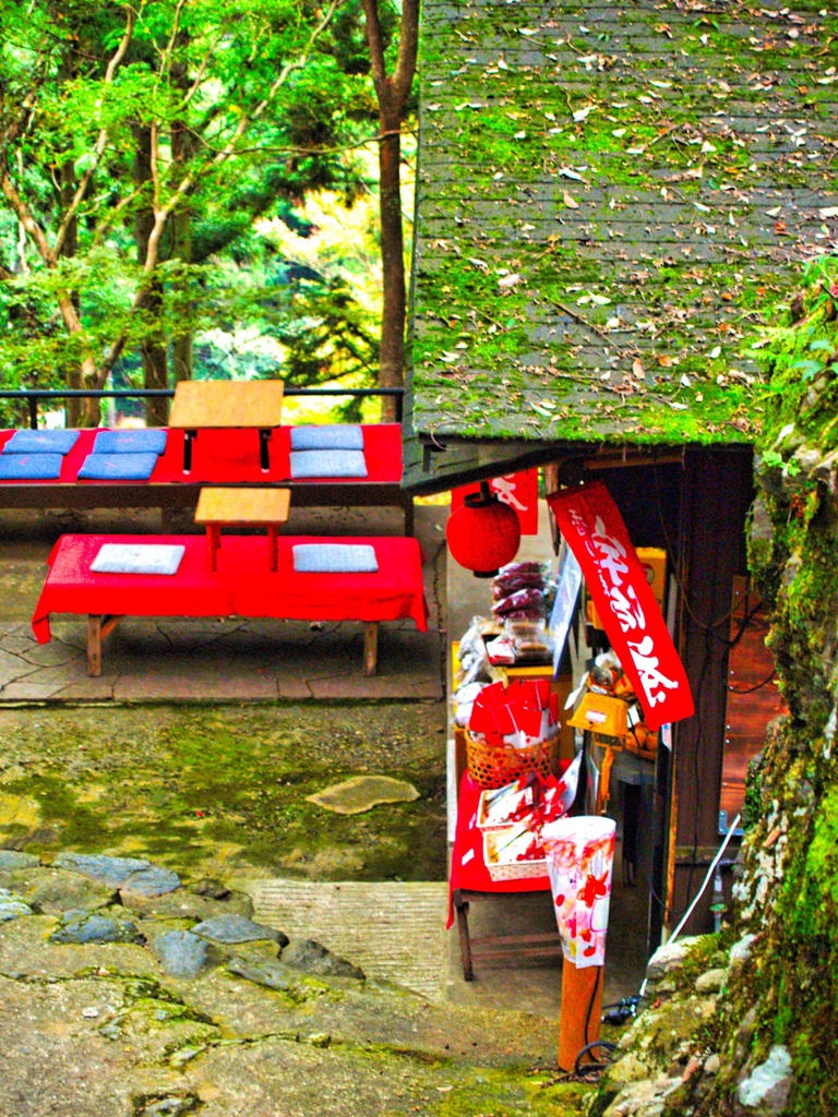 風景１８９　京都　高雄　