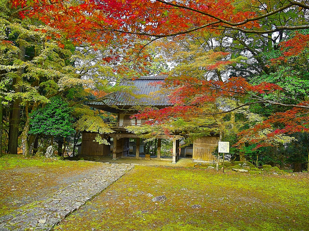 日本風景１２３９ 紅葉