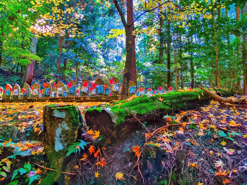 風景３１５ 寺　秋