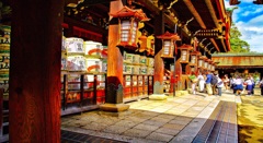 風景１８２　京都　神社