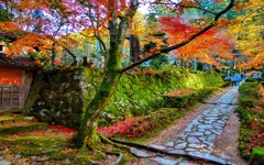 風景２７８ 寺　秋