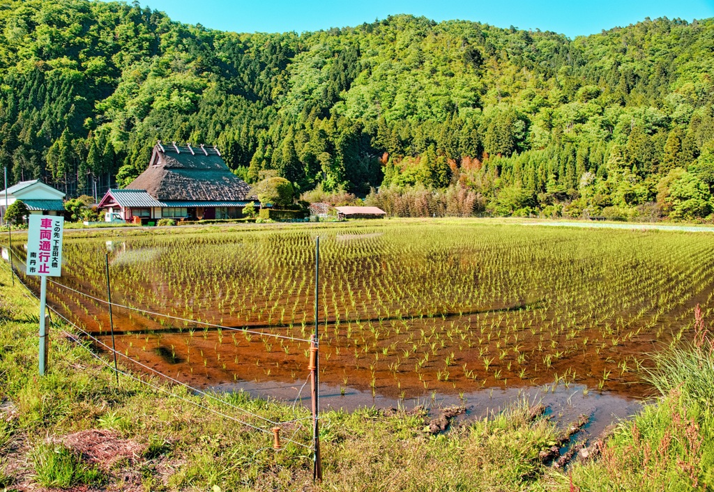 日本風景９１４　田園
