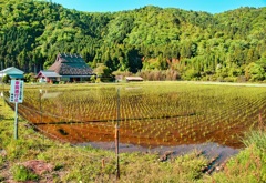 日本風景９１４　田園