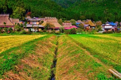 日本風景850茅葺 日本風景850茅葺