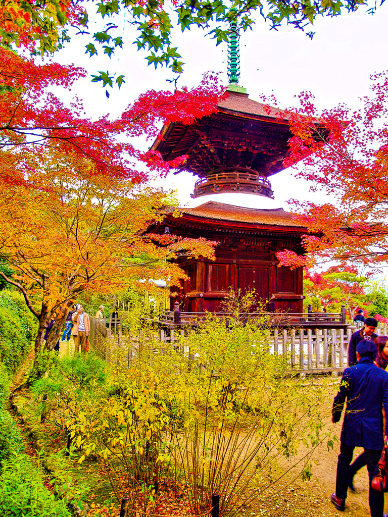 風景１８４　京都　秋　