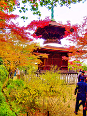 風景１８４　京都　秋　