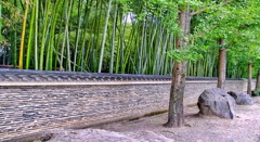 風景１６５　京都　竹壁