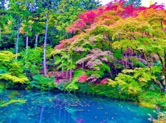 風景２３６　山寺　 秋