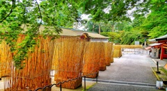 風景２１２　比叡山