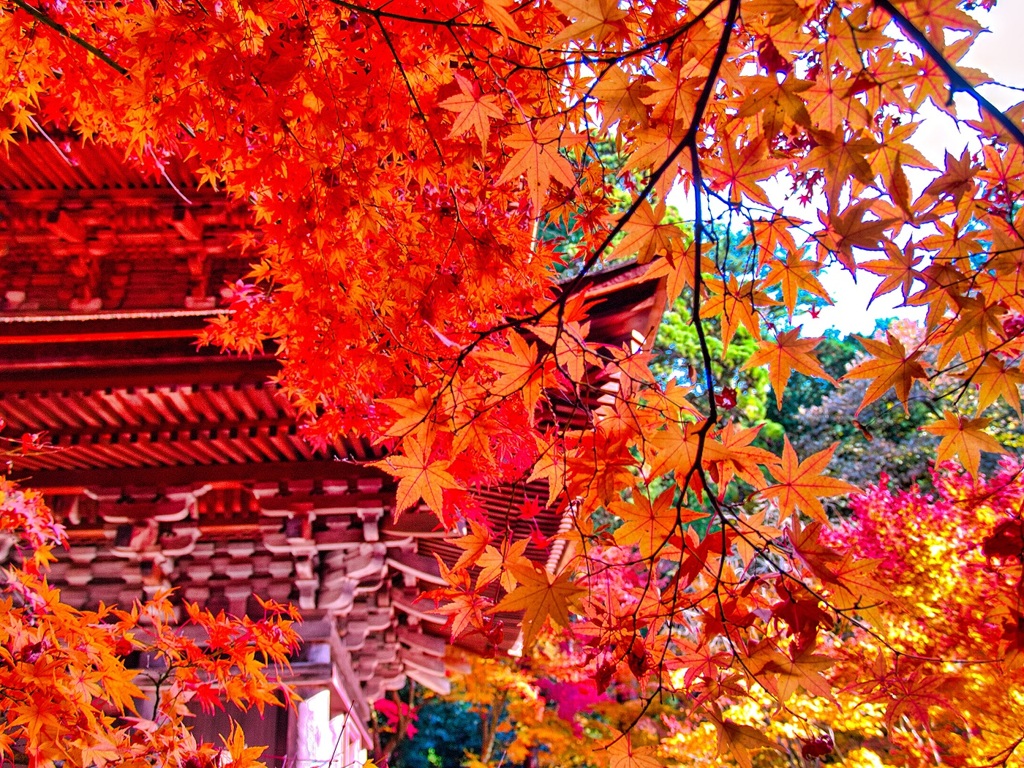風景２９０ 寺　秋