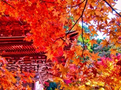 風景２９０ 寺　秋
