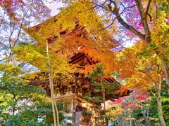 風景３３１ 寺　秋