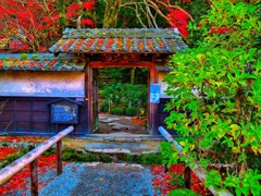 風景２８１ 寺　秋