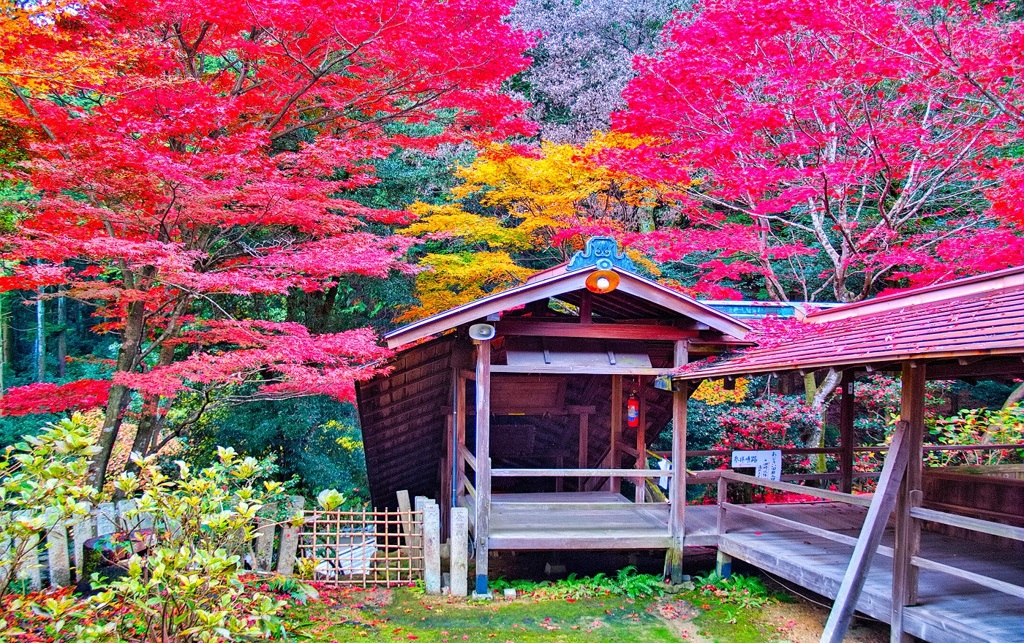 風景２６８ 寺　秋
