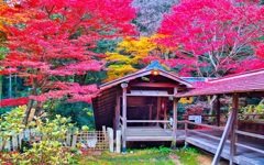 風景２６８ 寺　秋