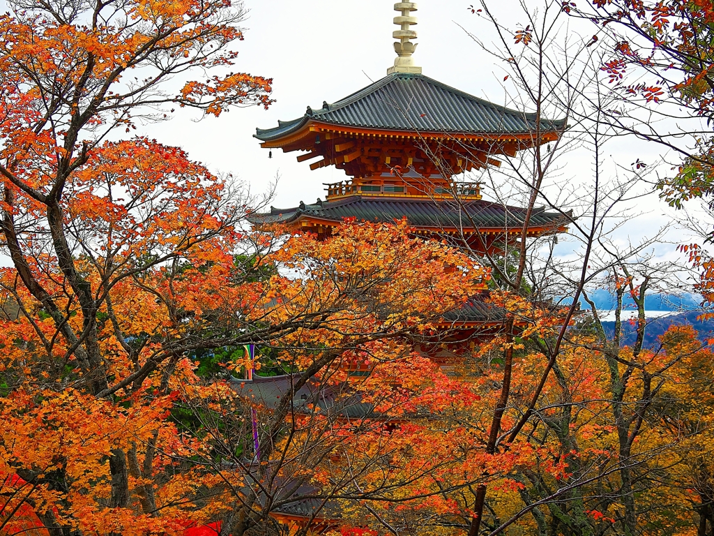 日本風景１４９７　紅葉