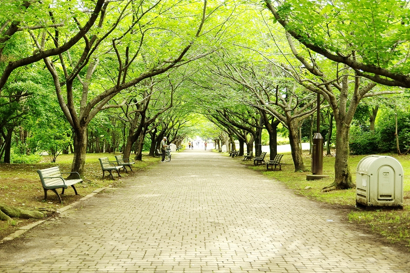 葛西臨海公園にて②