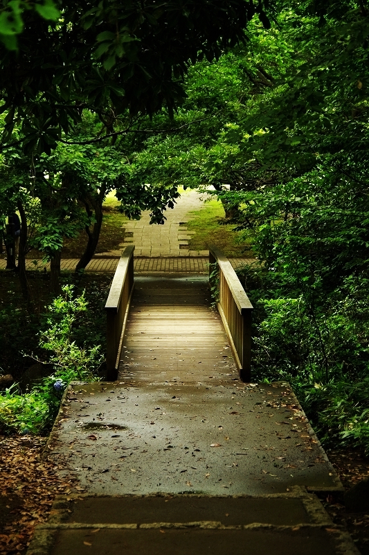 葛西臨海公園にて