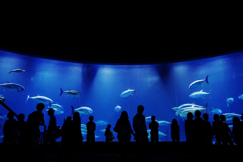 葛西臨海水族園にて②