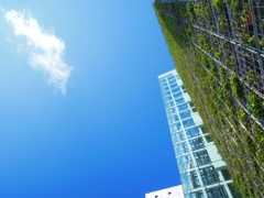 科学と空