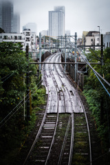 雨のレール