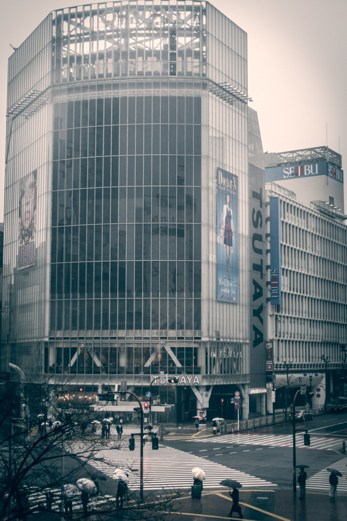 渋谷K