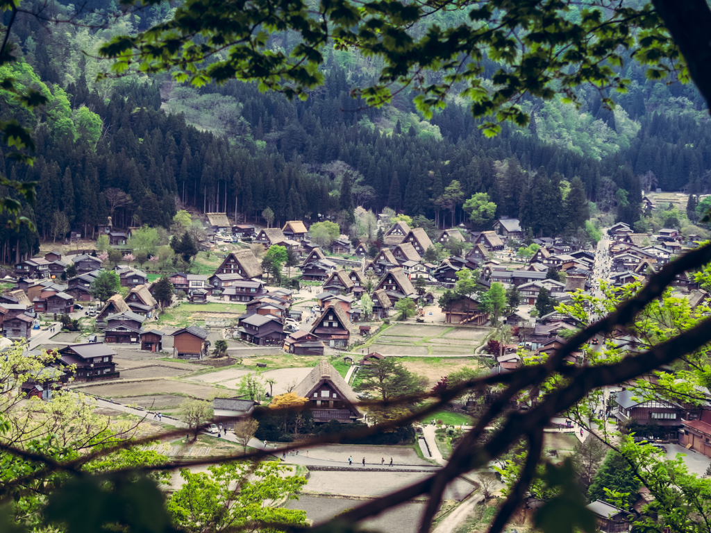 山村